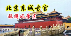 打炮自拍偷拍中国北京-东城古宫旅游风景区